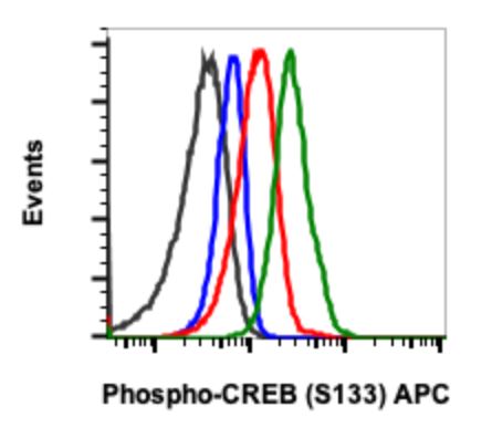 Flow Cytometry - APC Anti-CREB (phospho S133) antibody [CREBS133-4D11] (AB278703), expandable thumbnail