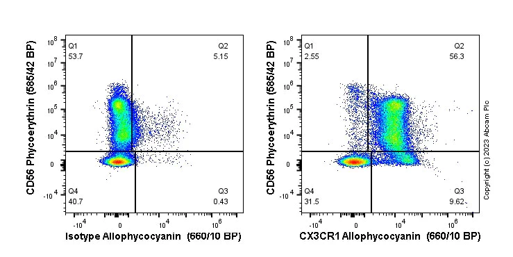 Flow Cytometry - APC Anti-CX3CR1 antibody [EPR22354-15] (AB314257)