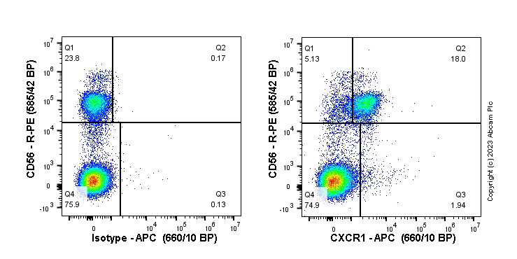 Flow Cytometry - APC Anti-CXCR1 antibody [EPR23700-70] (AB314954), expandable thumbnail