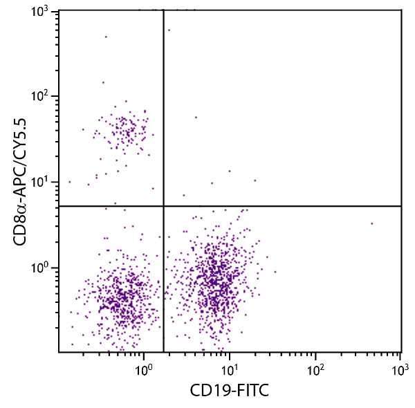 Flow Cytometry - APC/Cy5.5® Anti-CD8 alpha antibody [53-6.7] (AB82005), expandable thumbnail