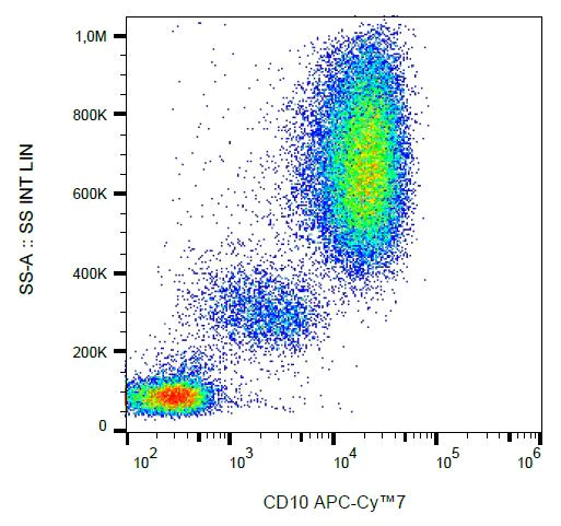 Flow Cytometry - APC/Cy7® Anti-CD10 antibody [MEM-78] (AB233253)
