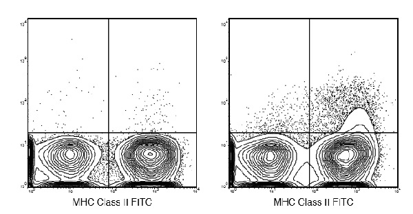 Flow Cytometry - APC/Cy7® Anti-CD11c antibody [N418] (AB210307), expandable thumbnail