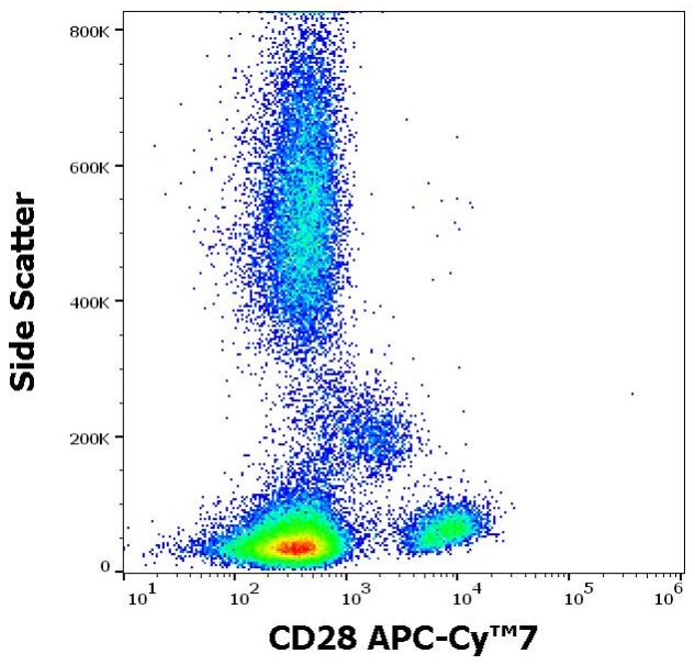 Flow Cytometry - APC/Cy7® Anti-CD28 antibody [CD28.2] (AB270676), expandable thumbnail