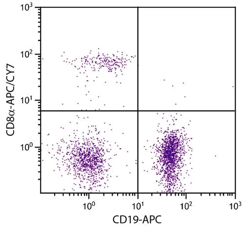 Flow Cytometry - APC/Cy7® Anti-CD8 alpha antibody [53-6.7] (AB288234)