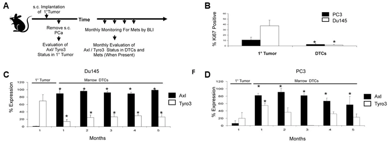 Flow Cytometry - APC/Cy7® Conjugation Kit - Lightning-Link® (AB102859)