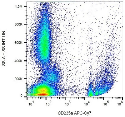 Flow Cytometry - APC/Cy7® Anti-Glycophorin A antibody [JC159] (AB233456), expandable thumbnail
