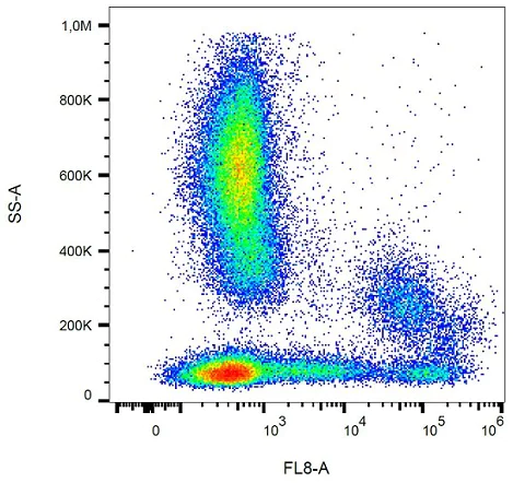 Flow Cytometry - APC/Cy7® Anti-HLA-DR antibody [L243] (AB239308)