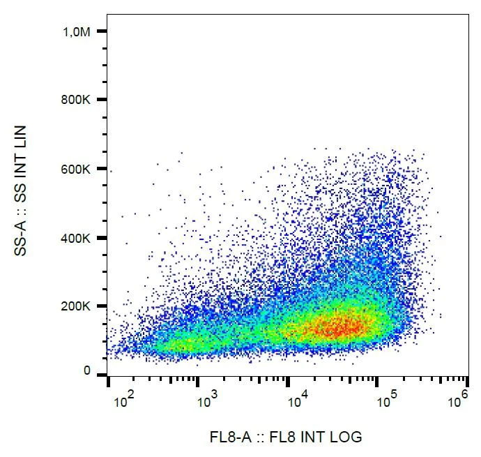 Flow Cytometry - APC/Cy7® Anti-IL-2 Receptor alpha antibody [MEM-181] (AB239307)