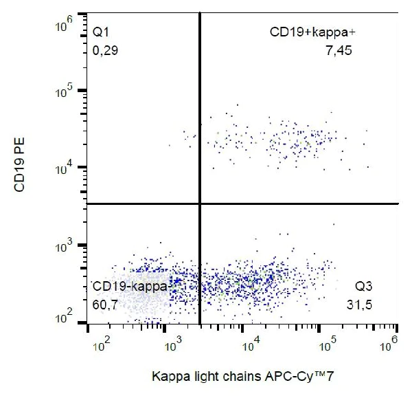 Flow Cytometry - APC/Cy7® Anti-Kappa light chain antibody [TB28-2] (AB239337)