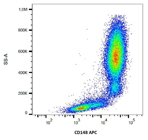 Flow Cytometry - APC Anti-DEP1 antibody [MEM-CD148/05] (AB234278), expandable thumbnail