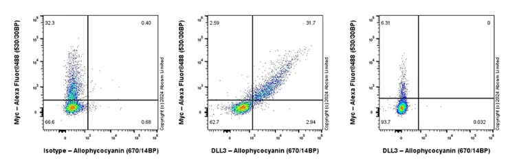 Flow Cytometry (Intracellular) - APC Anti-DLL3 antibody [EPR22592-18] (AB305809)