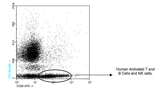 Flow Cytometry - APC Anti-DPP4 antibody [TP1/19] (AB91171)