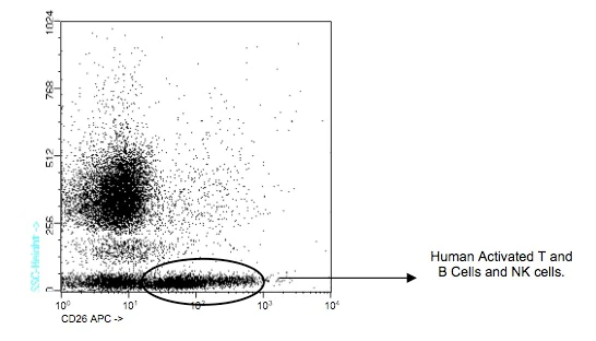 Flow Cytometry - APC Anti-DPP4 antibody [TP1/19] (AB91171)