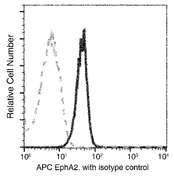 Flow Cytometry - APC Anti-Eph receptor A2 antibody [101] (AB275593), expandable thumbnail