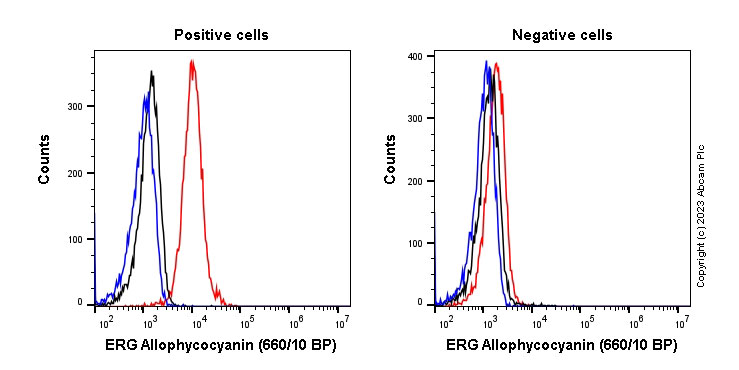 Flow Cytometry (Intracellular) - APC Anti-ERG antibody [EPR3864] (AB315146), expandable thumbnail