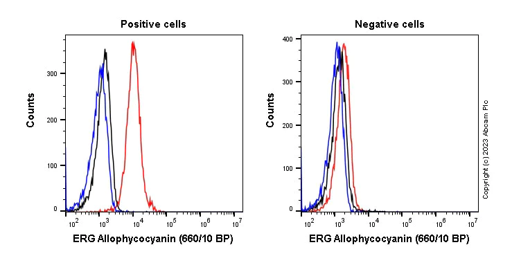 Flow Cytometry (Intracellular) - APC Anti-ERG antibody [EPR3864] (AB315146)