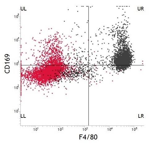 Flow Cytometry - APC Anti-F4/80 antibody [CI:A3-1] (AB105080), expandable thumbnail