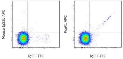 Flow Cytometry - APC Anti-Fc epsilon RI/FCER1A antibody [AER-37 (CRA1)] (AB155369)