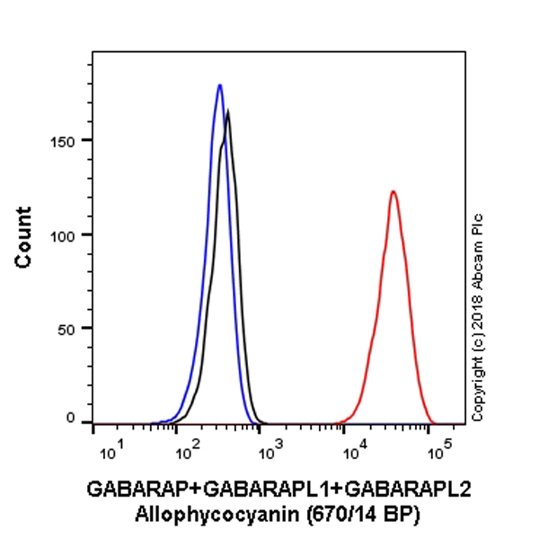 Flow Cytometry (Intracellular) - APC Anti-GABARAP+GABARAPL1+GABARAPL2 antibody [EPR4805] (AB223949), expandable thumbnail