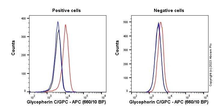 Flow Cytometry (Intracellular) - APC Anti-Glycophorin C/GPC antibody [EPR4116] (AB314948)