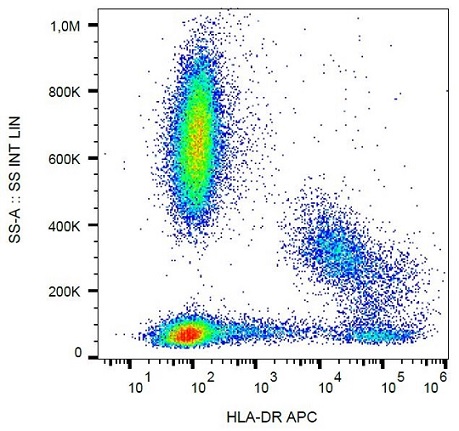 Flow Cytometry - APC Anti-HLA-DR antibody [MEM-12] (AB239283)