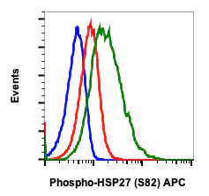 Flow Cytometry - APC Anti-Hsp27 (phospho S82) antibody [HSP27S82-CB2] (AB278627)