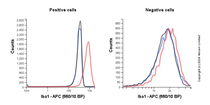 Flow Cytometry (Intracellular) - APC Anti-Iba1 antibody [EPR16588] - Microglia marker (AB320071)
