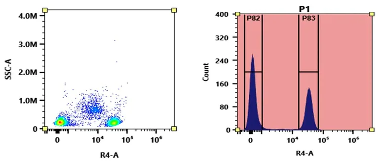 Flow Cytometry - APC-iFluor® 700 Conjugation Kit (AB312830)