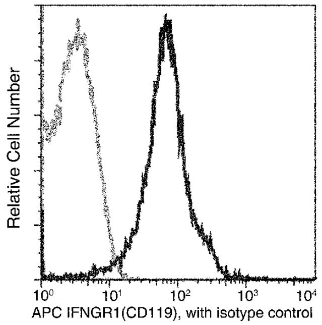 Flow Cytometry - APC Anti-IFNGR1 antibody [062] (AB275700)