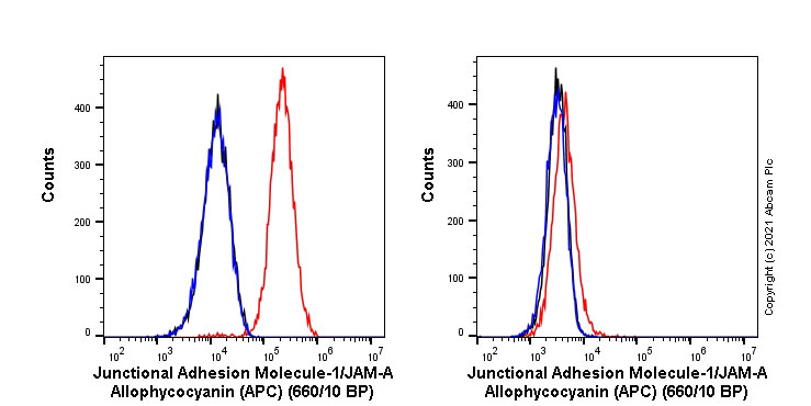 Flow Cytometry - APC Anti-Junctional Adhesion Molecule 1/JAM-A antibody [EPR23246-275] (AB275181), expandable thumbnail