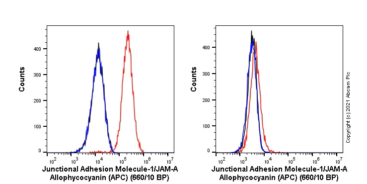 Flow Cytometry - APC Anti-Junctional Adhesion Molecule 1/JAM-A antibody [EPR23246-275] (AB275181)