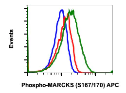 Flow Cytometry - APC Anti-MARCKS (phospho S167 + S170) antibody [MARCKSS167170-C9] (AB278786)