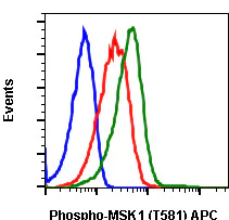 Flow Cytometry - APC Anti-MSK1 (phospho T581) antibody [MSK1T581-A5] (AB278582)