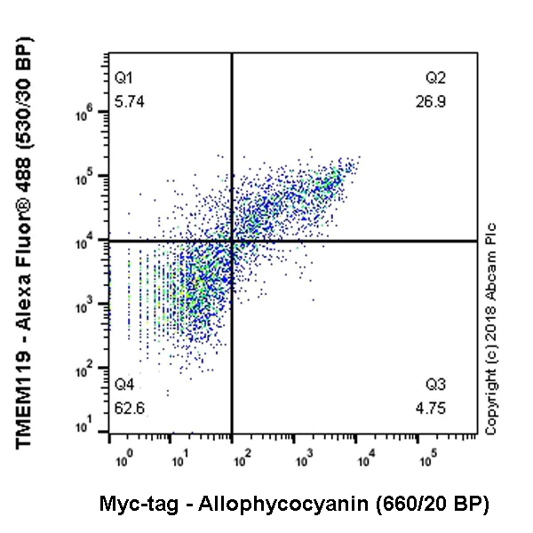 Flow Cytometry (Intracellular) - APC Anti-Myc tag antibody [9E10] (AB223896)