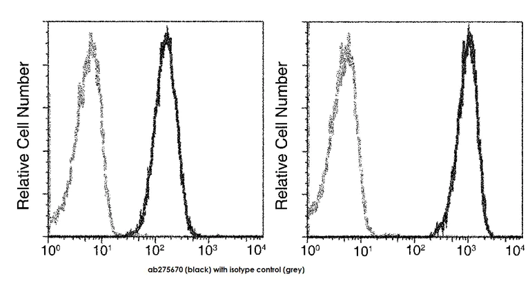 Flow Cytometry - APC Anti-N Cadherin antibody [020] (AB275670)