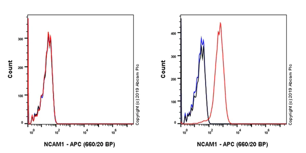 Flow Cytometry - APC Anti-NCAM1 antibody [EPR21827] (AB237383)