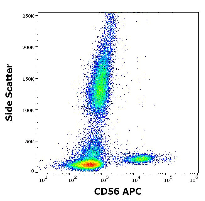 Flow Cytometry - APC Anti-NCAM1 antibody [LT56] (AB205500)