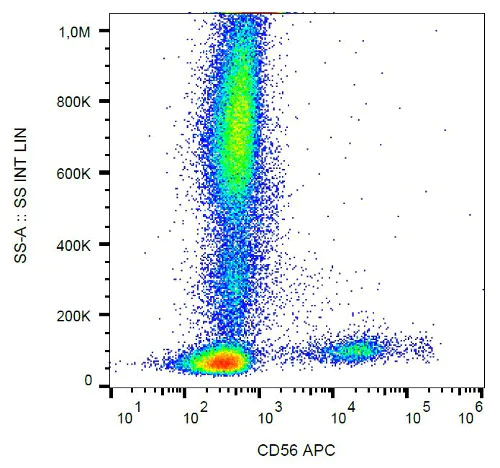 Flow Cytometry - APC Anti-NCAM1 antibody [LT56] (AB205500)