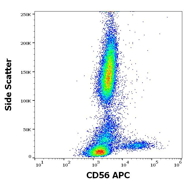 Flow Cytometry - APC Anti-NCAM1 antibody [MEM-188] (AB28335)