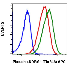Flow Cytometry - APC Anti-NDRG1 (phospho T346) antibody [NDRG1T346-F5] (AB278576)