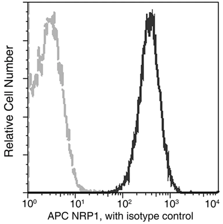 Flow Cytometry - APC Anti-Neuropilin 1 antibody [01] (AB275623)