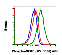 Flow Cytometry - APC Anti-NF-kB p65 (phospho S536) antibody [NFKBp65S536-B7] (AB278778)