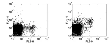 Flow Cytometry - APC Anti-NKG2D antibody [CX5] (AB95795)