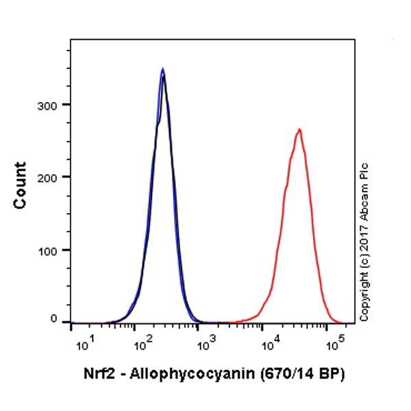 Flow Cytometry (Intracellular) - APC Anti-Nrf2 antibody [EP1808Y] (AB223927)