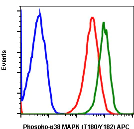 Flow Cytometry - APC Anti-p38 (phospho T180 + Y182) antibody [P38T180Y182-E3] (AB278728)
