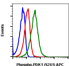 Flow Cytometry - APC Anti-PDPK1 (phospho S241) antibody [PDK1S241-F7] (AB278756), expandable thumbnail
