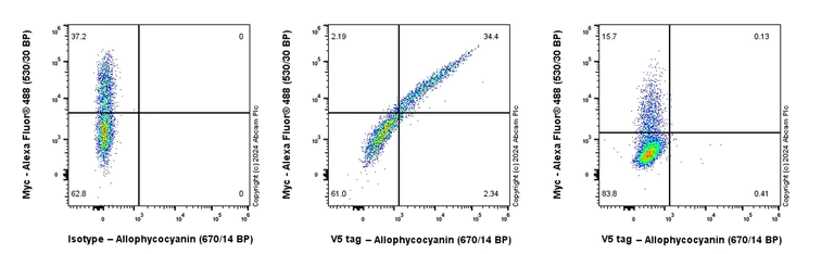 Flow Cytometry (Intracellular) - APC Rabbit IgG, monoclonal [EPR25A] - Isotype Control (AB232814)