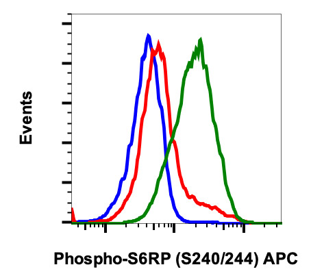 Flow Cytometry - APC Anti-RPS6 (phospho S240 + S244) antibody [S6RPS240244-CD10] (AB278773), expandable thumbnail