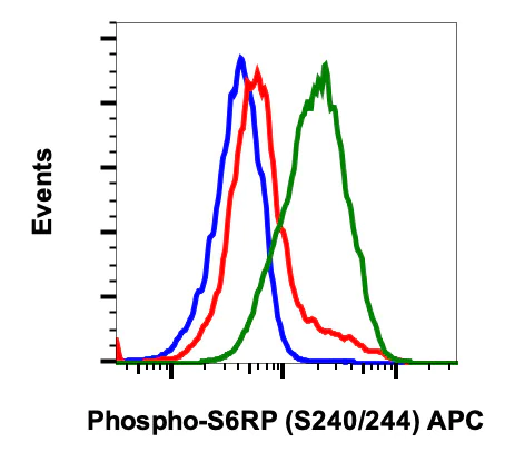 Flow Cytometry - APC Anti-RPS6 (phospho S240 + S244) antibody [S6RPS240244-CD10] (AB278773)