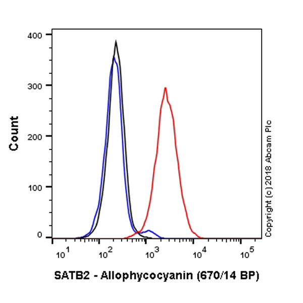 Flow Cytometry (Intracellular) - APC Anti-SATB2 antibody [EPNCIR130A] (AB225051)